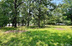 Marion Street, Lancaster, SC 29720