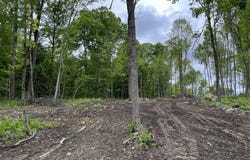 L4.1 Tripoli Road, Kingsbury, NY 12839