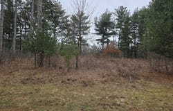11 3/8 Avenue, Cameron, WI 54822