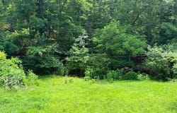 0 NE 6th Street, Mill Spring, MO 63952
