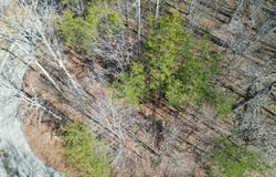 Turner Greenhouse Rd, Crossville, TN 38572