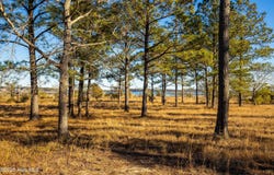 Lot 17&18 Plantation Lane, Swansboro, NC 28584
