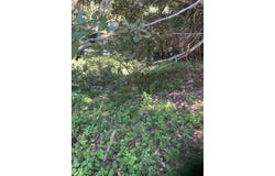 230 Cougar Road, Whitethorn, CA 95589