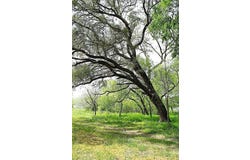 Scott Road, Weimar, TX 78962