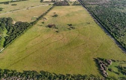 339 FM, Kosse, TX 76653