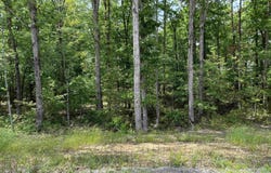 lot 23 Grant County Road 763, Sheridan, AR 72150
