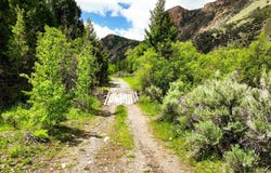 Badger Creek, Howe, ID 83244