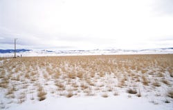 Trent Drive, Dillon, MT 59725