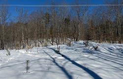 299 Intervale Road, Jay, ME 04239
