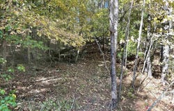 Lot #4 HIGHWAY 75, ONEONTA, AL 35121