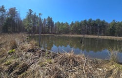 2WP County Rd 36, Norwich, NY 13815
