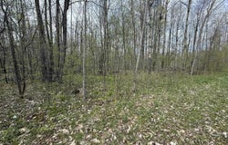 1320 County Route 49, Winthrop, NY 13697