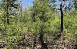 16-19-10 K Avenue, Felsenthal, AR 71747