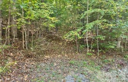 23 Overlook Park Drive unit: 48, Hendersonville, NC 28792