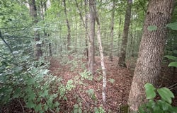 Lot 3 Evergreen Drive, Oneida, TN 37841