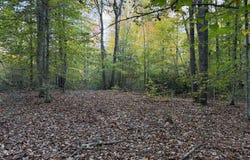 WATSON Road, BURR HILL, VA 22433
