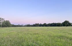 0 Old Van Vleck Rd Tract 1, Van Vleck, TX 77482