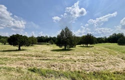 632 Andrew Circle, Roundhill, KY 42275