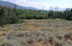 Rainey Mountain Road, Polaris, MT 59746
