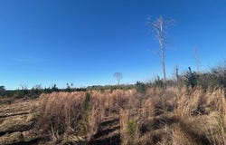 Robert Jones Road, Summit, MS 39666