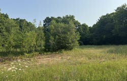 Hollow Dr, McMillan, MI 49853