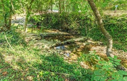 233 Happy Hollow Rd Road, Anderson, MO 64831