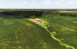 Cotton Loop, MS 38670