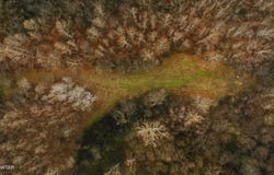 State Route 79, Ridgely, TN 38080