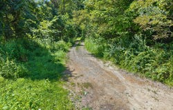 Bill Dee Br Road, Topmost, KY 41862
