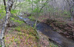 Carver Lee Road, Henry, VA 24102