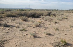 3 Puckett Dr Drive, Los Lunas, NM 87031
