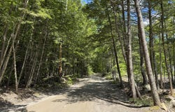 Brookhaven Lane lot: 4, Harrison, ME 04040
