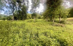 Malcolm Road, Barboursville, WV 25504