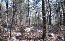 1644 Walker Cove Rd, SPARTA, TN 38583