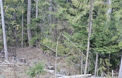NKA Alder Way, St. Maries, ID 83861