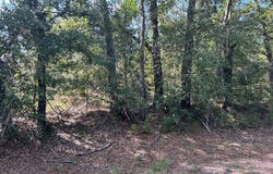 5 +-ac Cty Rd 18 (Lot 1), Headland, AL 36345