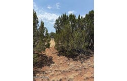 8700 Silver Creek Drive, Show Low, AZ 85901