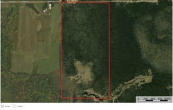 0 300th Avenue, Holcombe, WI 54745