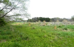 SPOONBILL LN lot: 158, MACHIPONGO, VA 23405