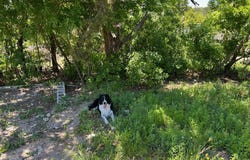 1409 County Road 147, Gatesville, TX 76528