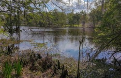 1120 MCKAY Circle, Montgomery, LA 71454