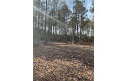 01 A Pittman Rd, Sandy Hook, MS 39478