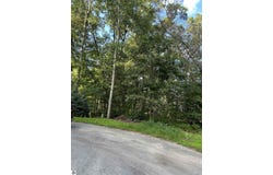 0 Whitetail Court, West Branch, MI 48661
