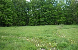 4 Avoy Heights Road, Lake Ariel, PA 18436