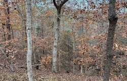 3942 Ridge Road, Greenville, AL 36037