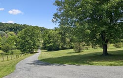 407 MILLER Road, READING, PA 19608