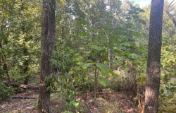 8075 STATE HIGHWAY 82, Locust Grove, OK 74352
