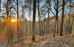 681,682 Julep, Ellijay, GA 30540