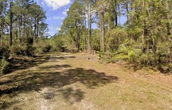 104 Helen Ave, Georgetown, FL 32139