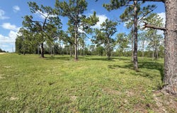 0 Lake Drive, Marianna, FL 32448